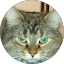 Linda S. Avatar